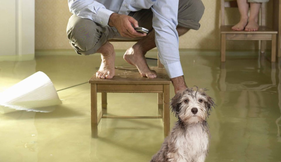 διαρροή λυμάτων